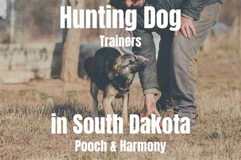 nerdy academy|dog trainers in south dakota.